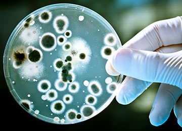 Excelentní vědecká činnost